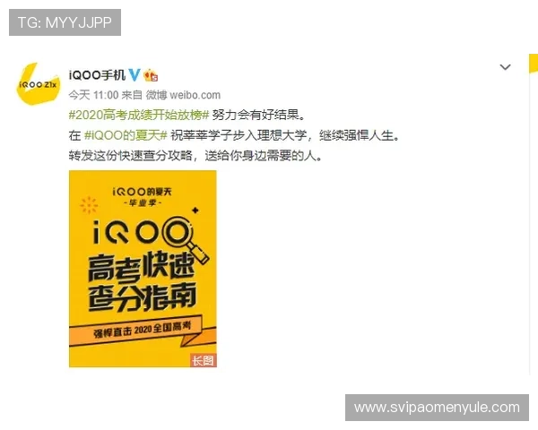 多宝视讯官网用户指南：玩法介绍与技巧提升建议